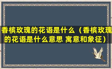 香槟玫瑰的花语是什么（香槟玫瑰的花语是什么意思 寓意和象征）